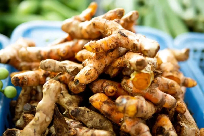 Kenyan Ginger Slices & Powder