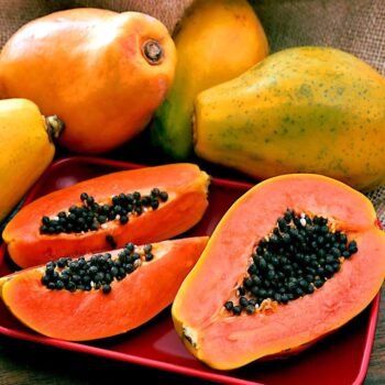 Kenyan Red Lady Papaya 600-800 g